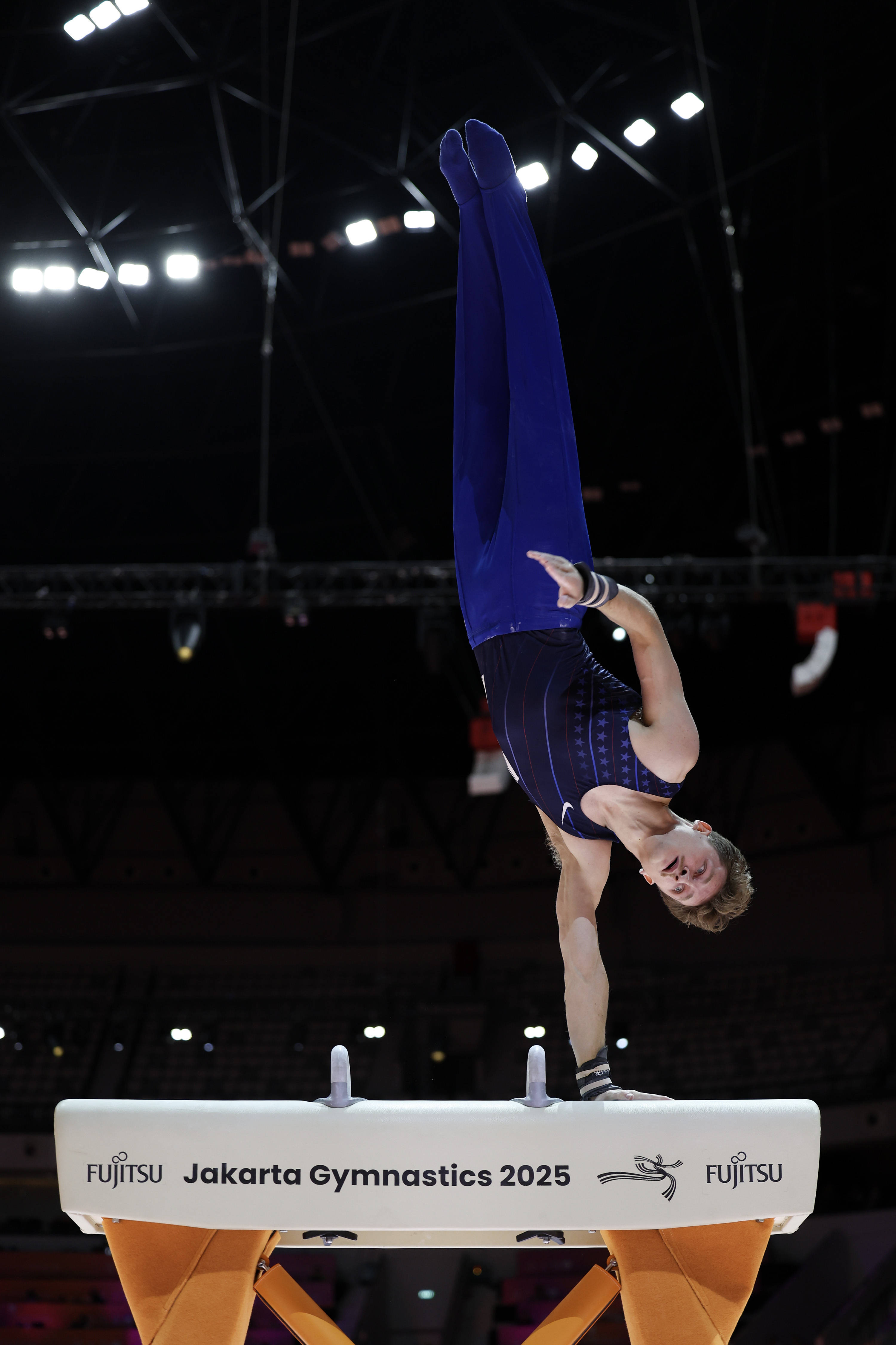 (体育)体操——世锦赛:男子鞍马决赛赛况