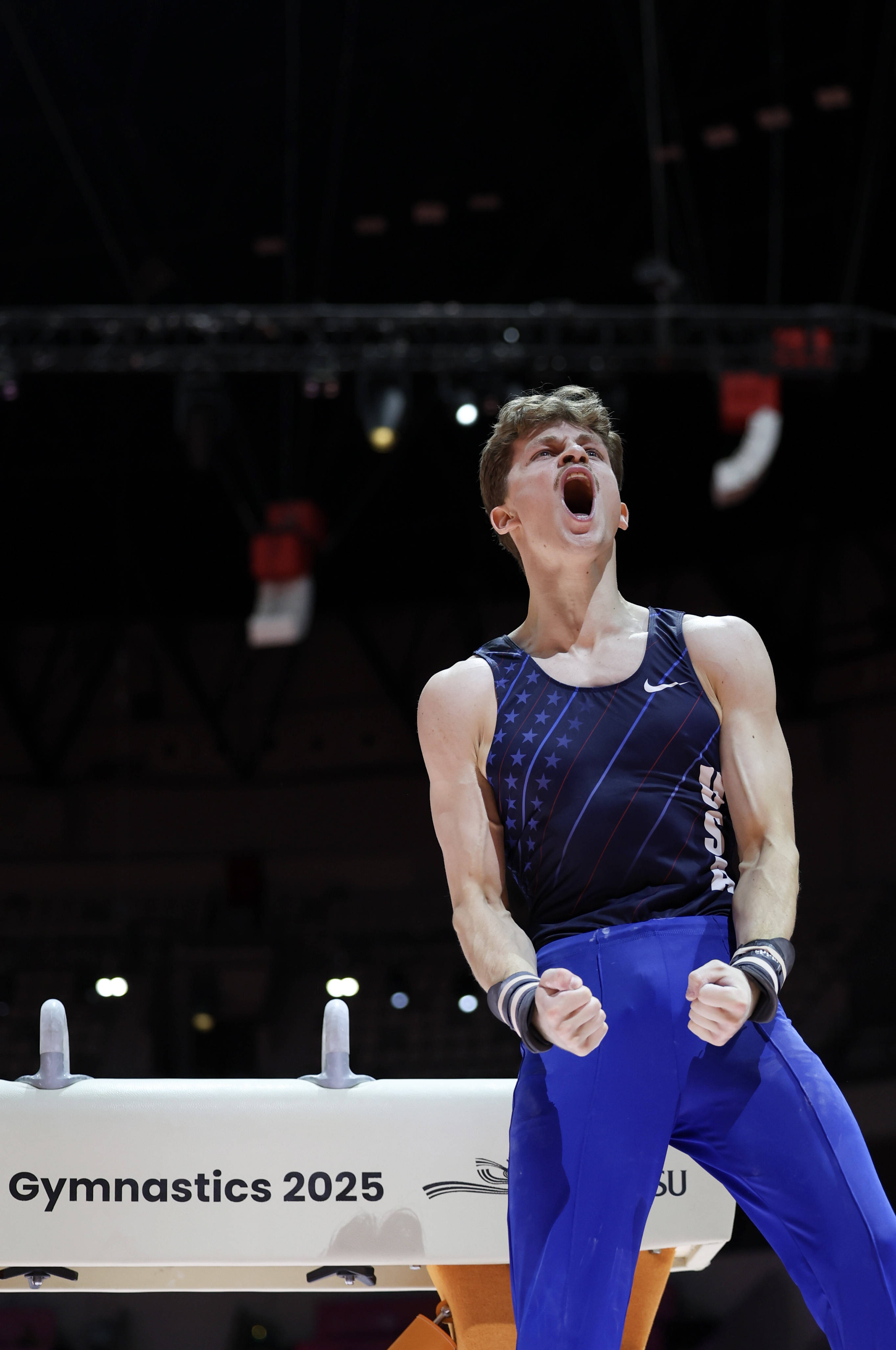 (体育)体操——世锦赛:男子鞍马决赛赛况