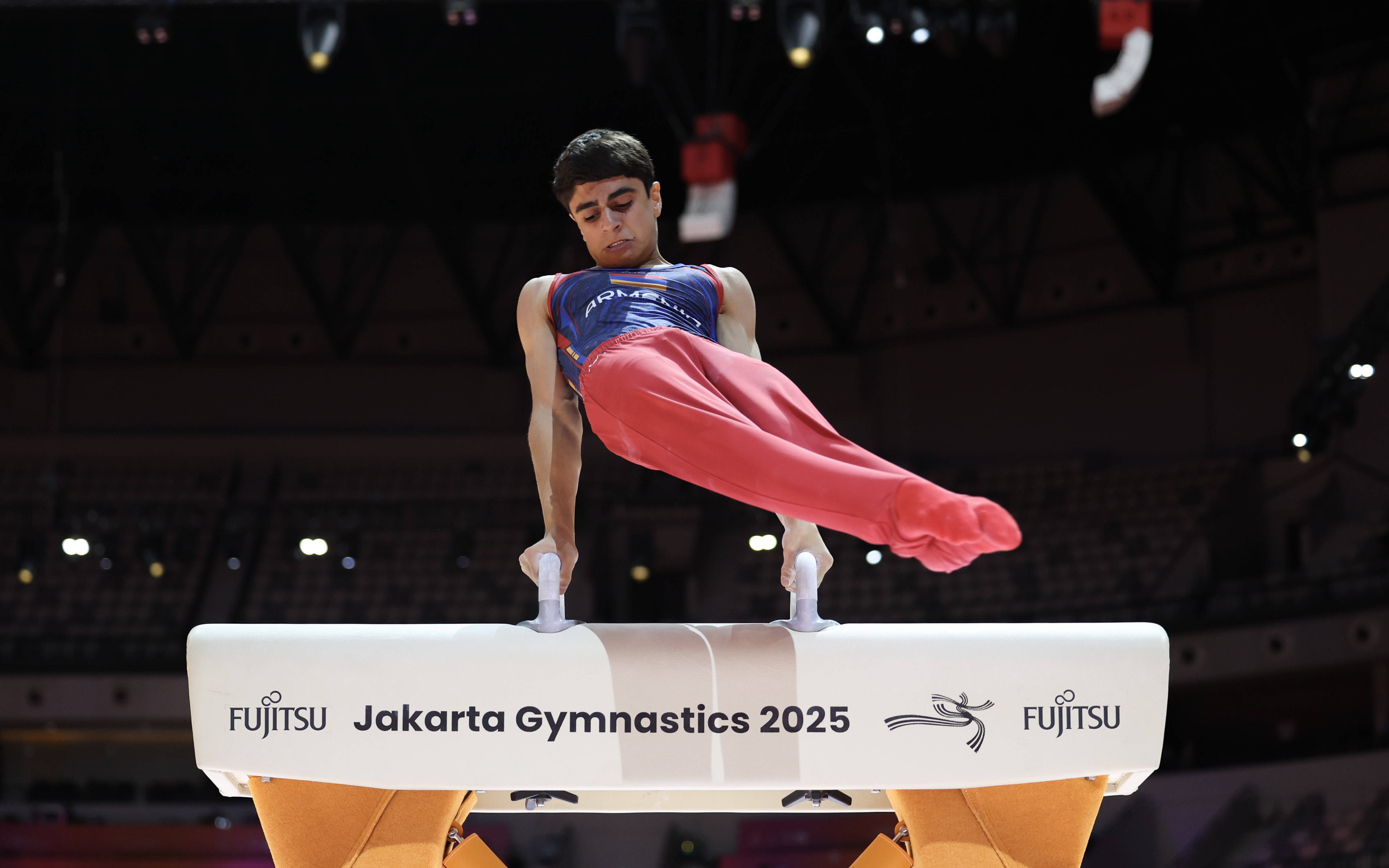 (体育)体操——世锦赛:男子鞍马决赛赛况